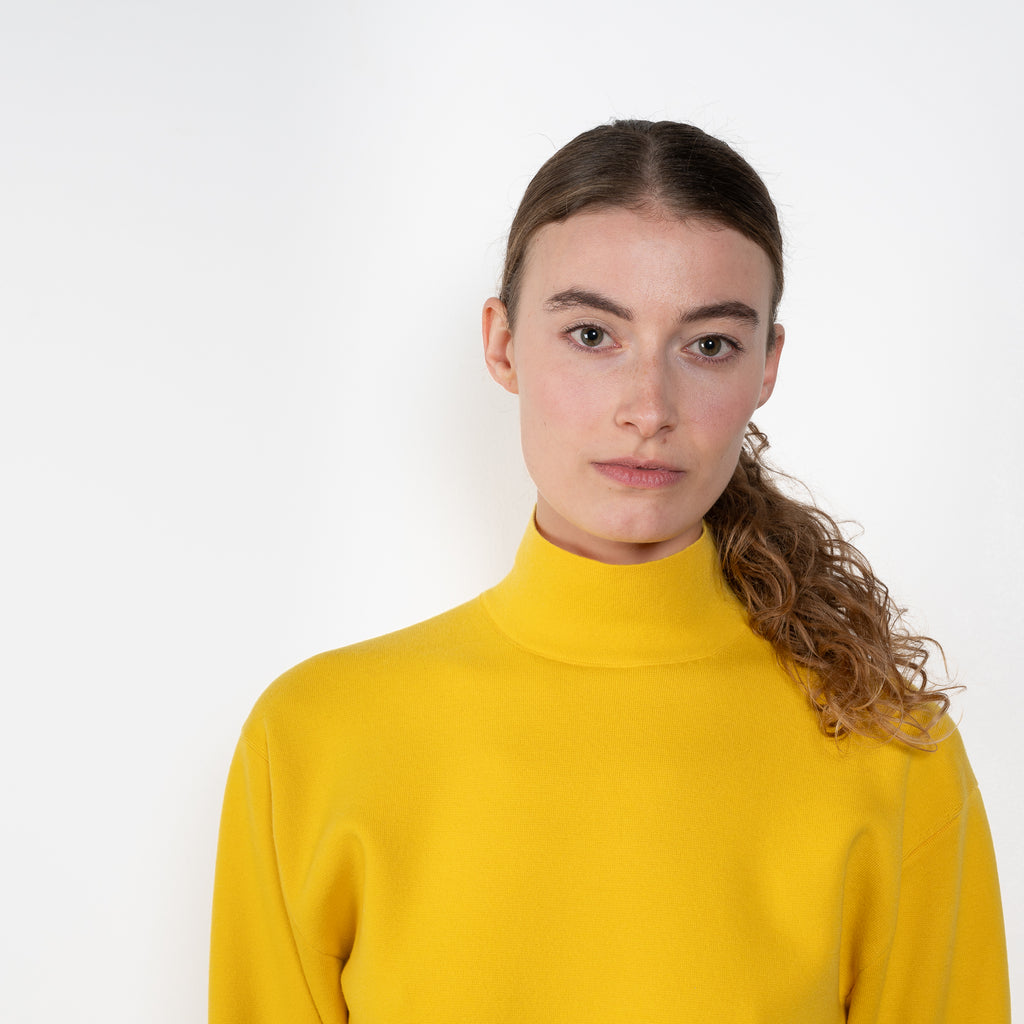 Auralee Rib Knit Turtle
