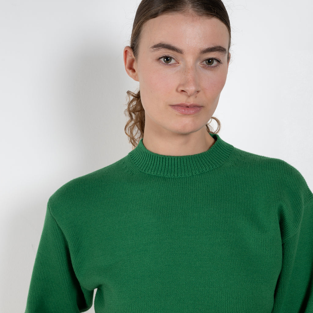 Auralee Wool Mock Neck green