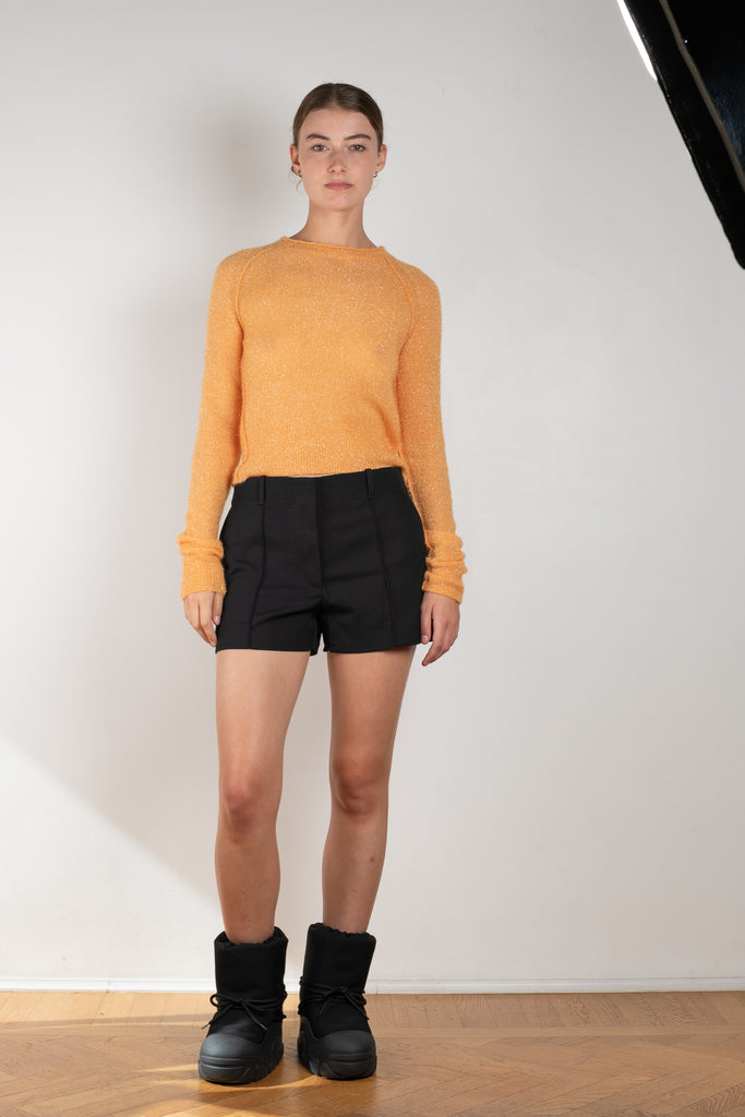 The Sparkly Crew Neck Sweater 480 by Acne Studios is a lightweight sweater with a cut-out detailing with tie-up closure on the back and a glistening effect