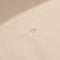 The Fiore Earring by Sophie Bille Brahe is a fine 18K yellow gold stud earring with 0.09 carats of Top Wesselton VVS diamonds in a delicate flower shaped setting