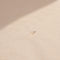 The Fiore Earring by Sophie Bille Brahe is a fine 18K yellow gold stud earring with 0.09 carats of Top Wesselton VVS diamonds in a delicate flower shaped setting