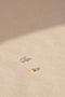The Fiore Earring by Sophie Bille Brahe is a fine 18K yellow gold stud earring with 0.09 carats of Top Wesselton VVS diamonds in a delicate flower shaped setting