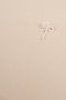 Rosette De Perle Earrings